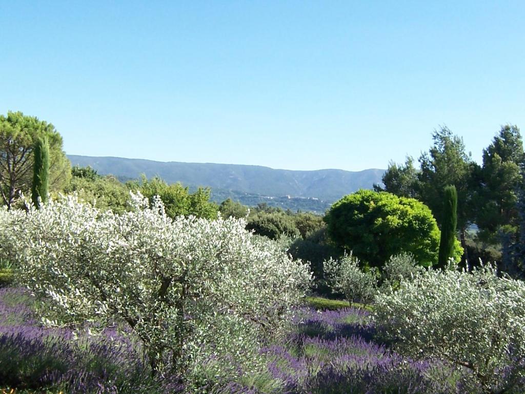 Lou Granos Bed and Breakfast Gordes Δωμάτιο φωτογραφία